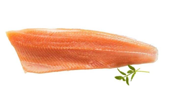 Kalaneuvos tuore taimenfilee