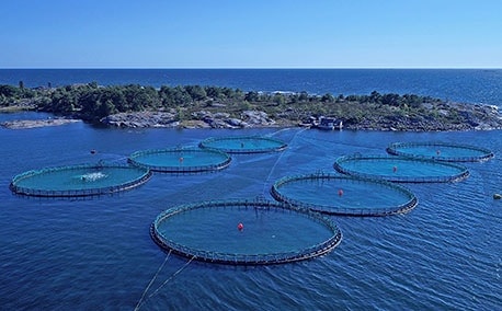 Ruokien ilmastovaikutukset tutkimus