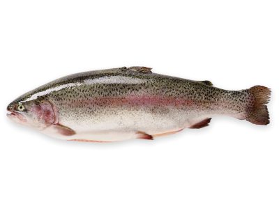 Kirjolohi, kokonainen RGB