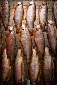 Kalaneuvos savukirjolohi verkolla