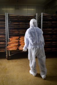 Kalaneuvos savukirjolohifilee verkolla RGB