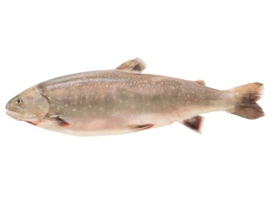 Nieriä, kokonainen RGB