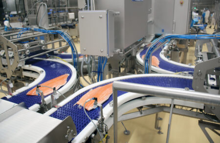 Lohta fileointilinjastolla 2021 RGB