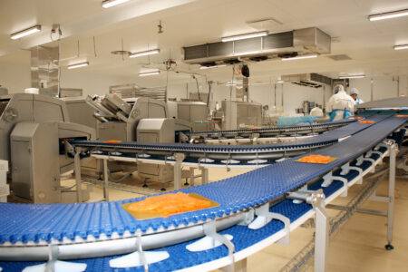 Siivutuslinjasto 2021 kuva 2 RGB